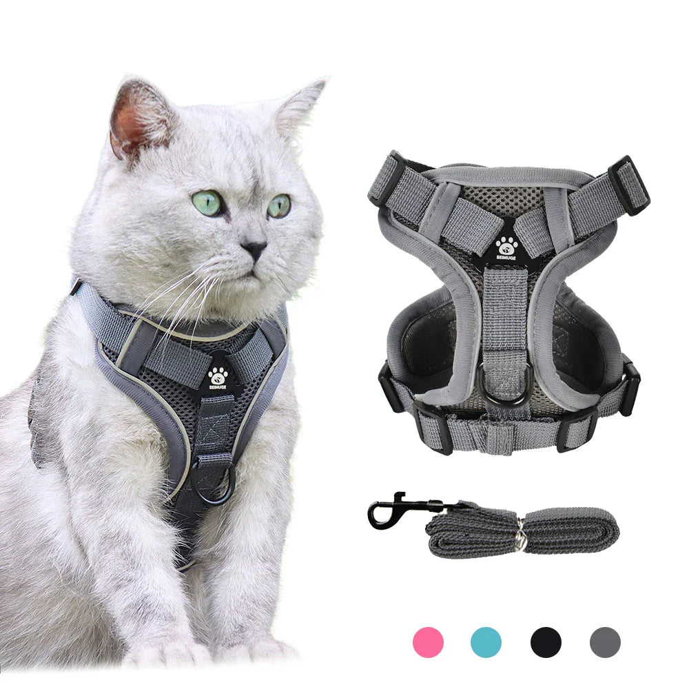 Reflective Cat Harness & Leash