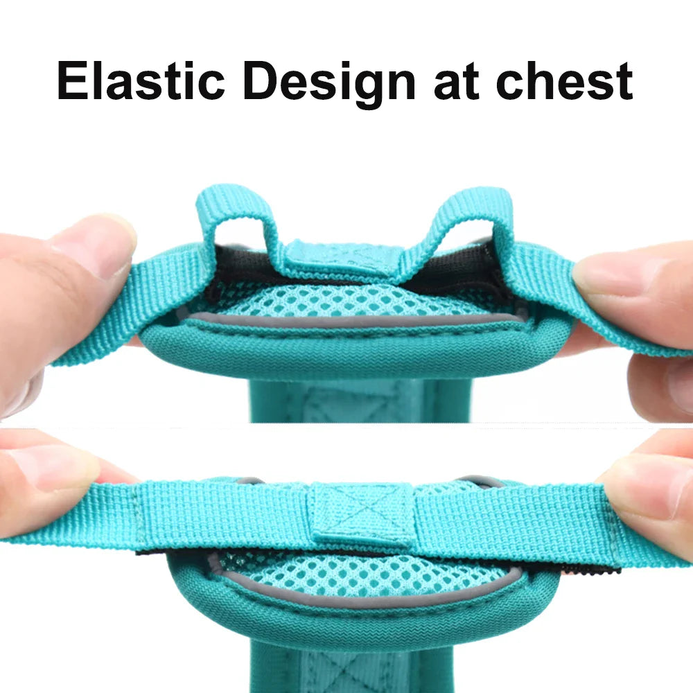 Reflective Cat Harness & Leash