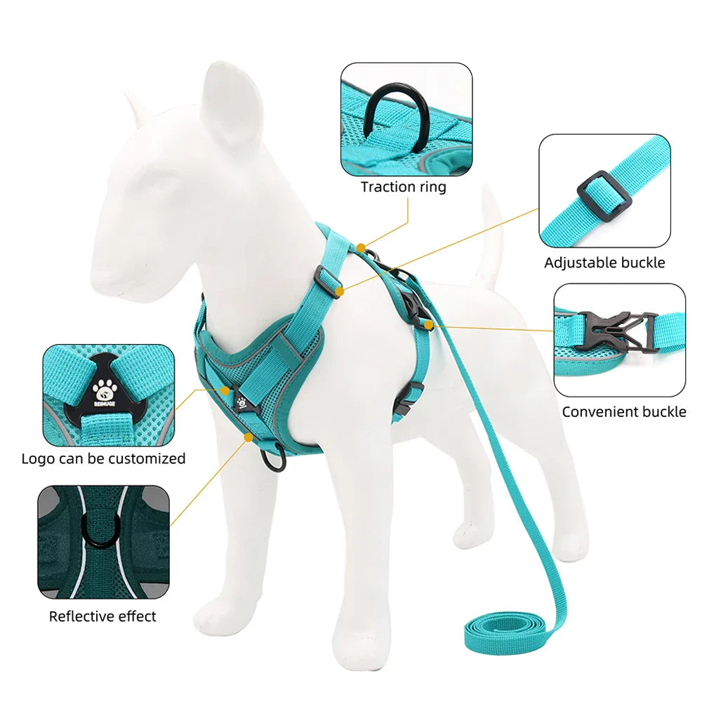 Reflective Cat Harness & Leash