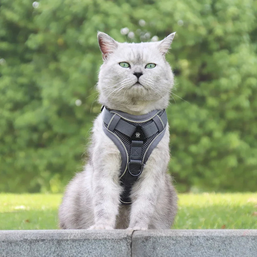 Reflective Cat Harness & Leash